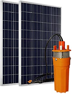 ECO-WORTHY Sistema de agua con energía solar de 24 voltios- panel solar fotovoltaico policristalino 2pcs100W + 1pc 24V Bomba de agua solar sumergible con filtro de acero inoxidable