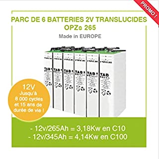 Baterias para panel solar 6 baterias de 2 V translucidas OPZS 265 para instalacion autonoma solar y energia eolica- baterias de alta gama de hasta 11.000 ciclos y 20 anos de vida util.