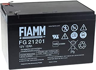 Fiamm FG21202 - Bateria de plomo acido- 12 Ah- 12 V